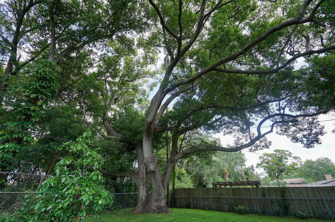 4 Bedroom Clearwater Vacation Home With Amazing Backyard Esterno foto